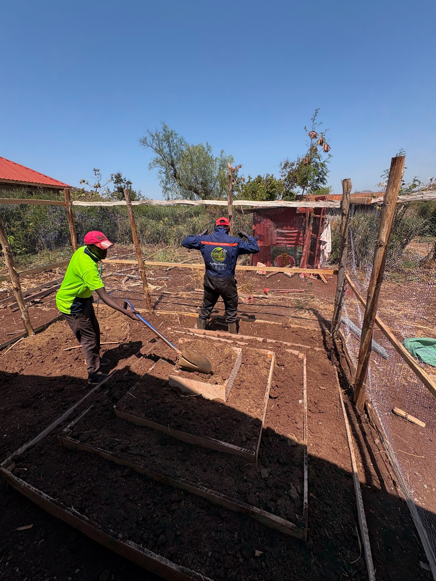 AgritechBiz team working with farmers on a demonstration plot