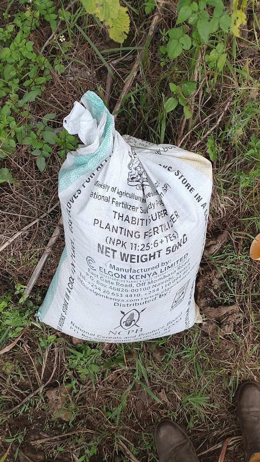 Genuine NPK planting fertilizer delivered to the farm before planting