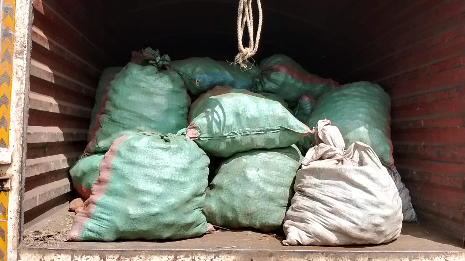 Sacks of graded potatoes loaded in the store ready for transport