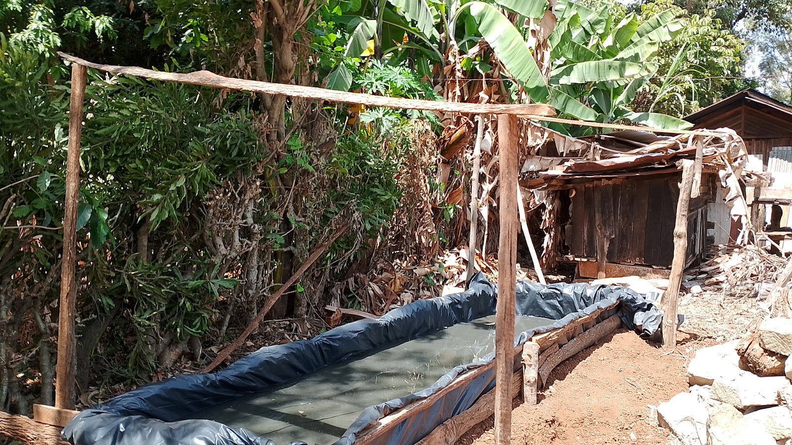 Fresh leafy vegetables selected for continuous kitchen garden harvests