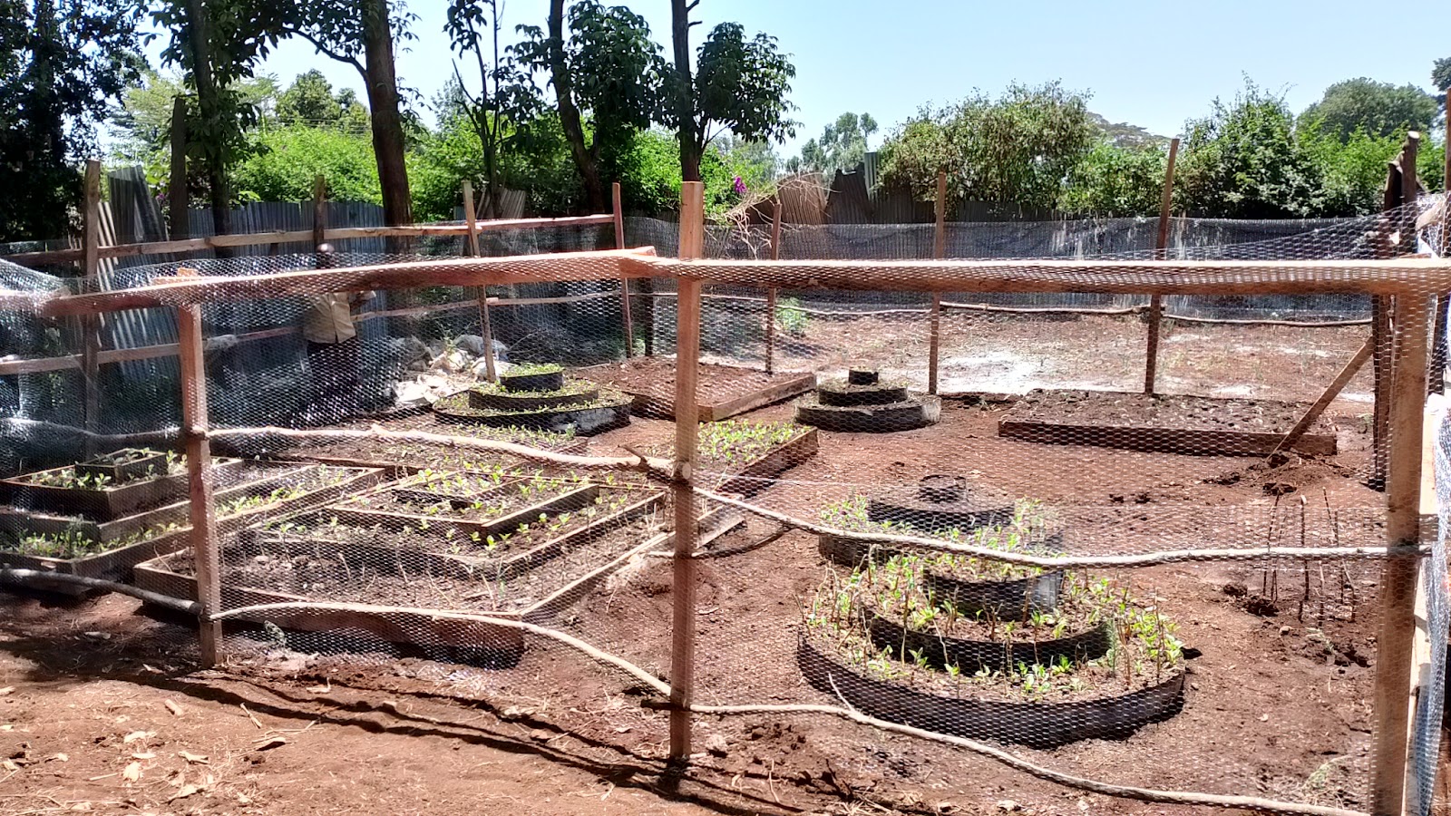 Circular and rectangular kitchen garden beds laid out to use space efficiently