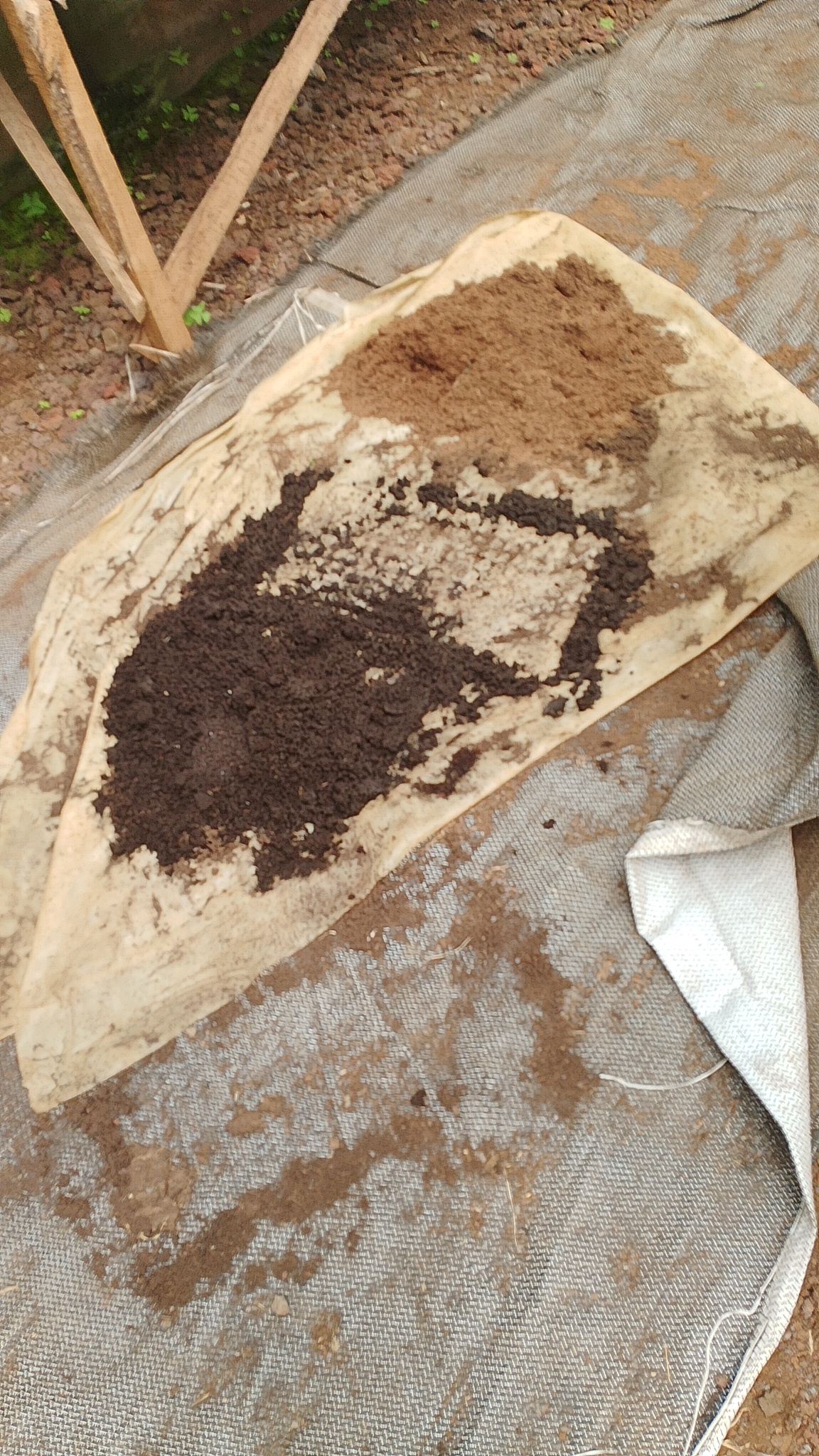 Rich prepared growing medium ready for planting vegetables